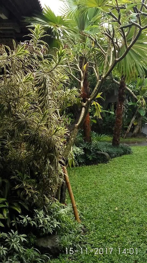 Umah43-Ubud 0*, Ubud (Bali) Indonesia